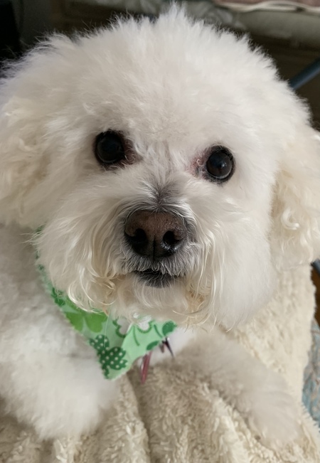 Rosie