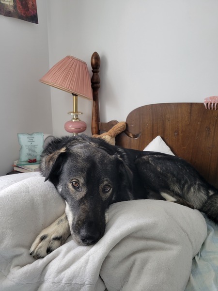 Murphy