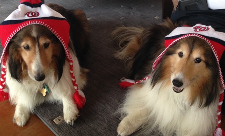 Kiley (left) and Callie (right) - Take Me Out to the Ballgame