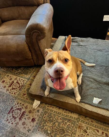 Zoe 
