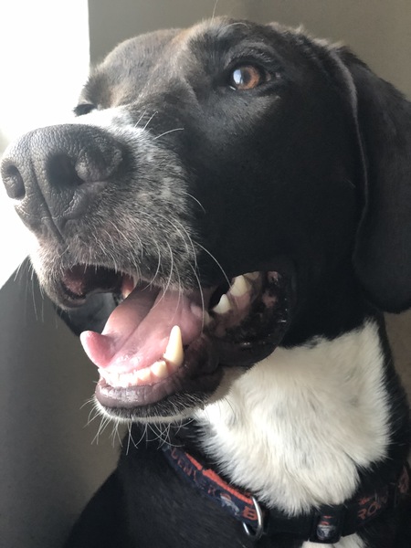 Walter