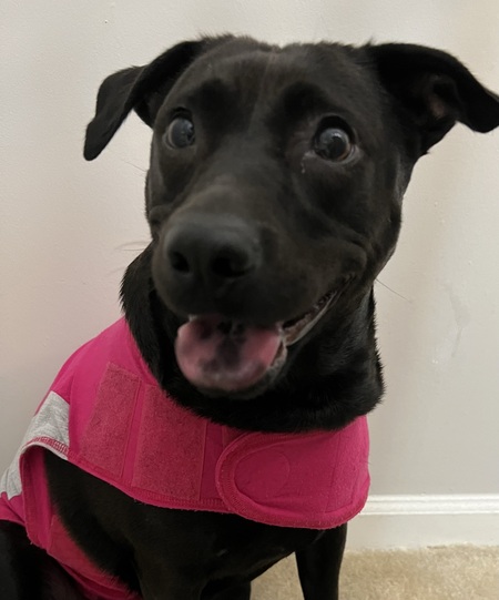 Maya