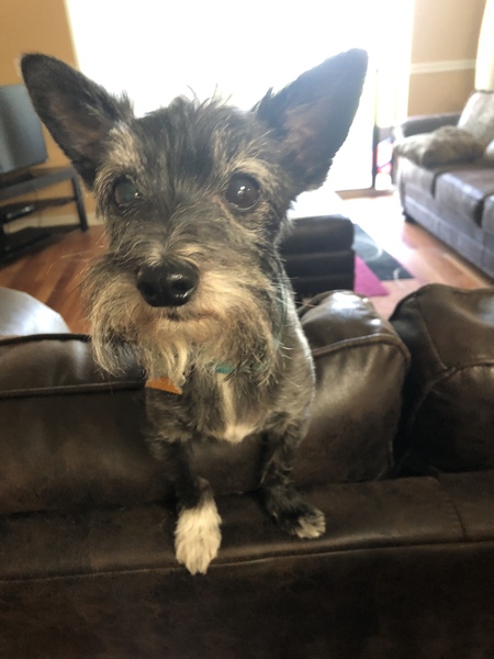 Yoda
