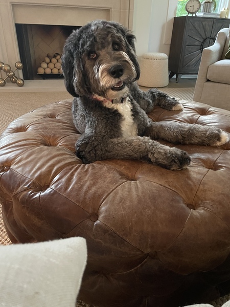 Molly