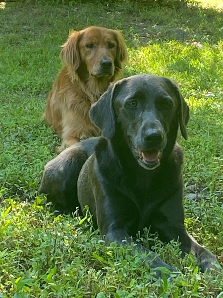 Jasper and Bella