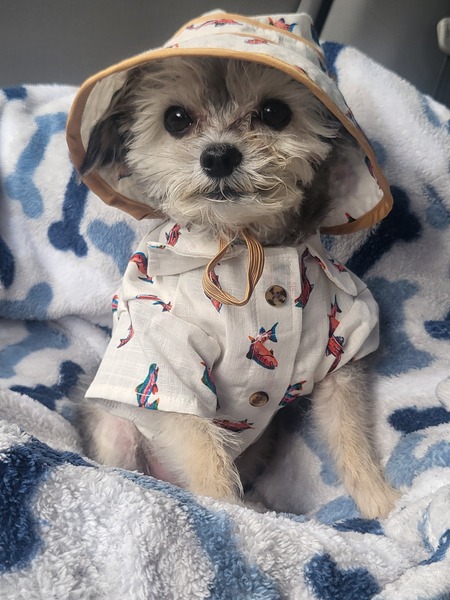 Charlie