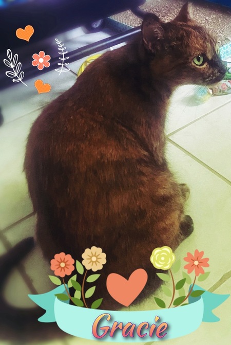 Gracie