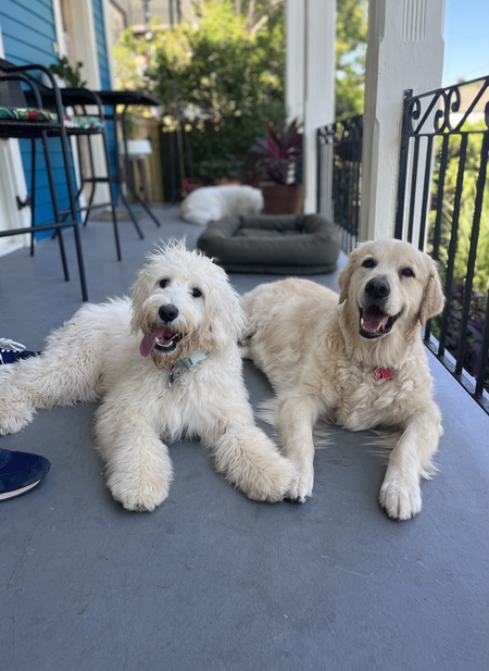 Sully & Betty White
