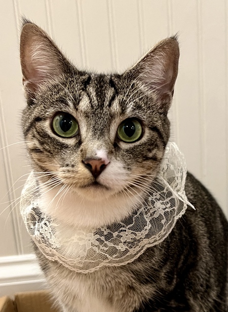 Ruth Bader Catsburg (RBC)