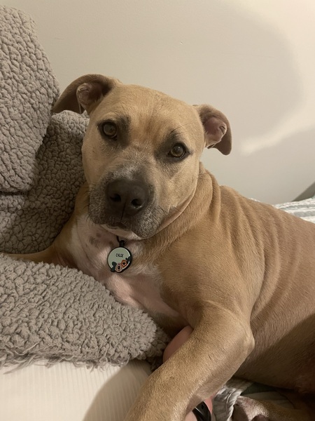 Chloe