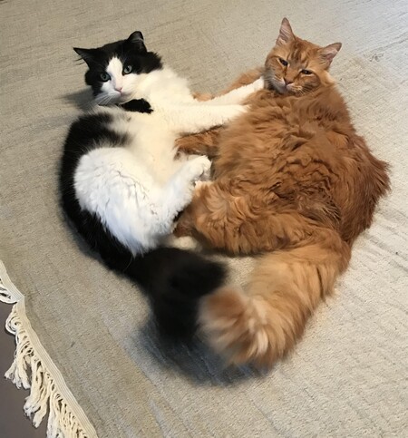 Tuck and Finch