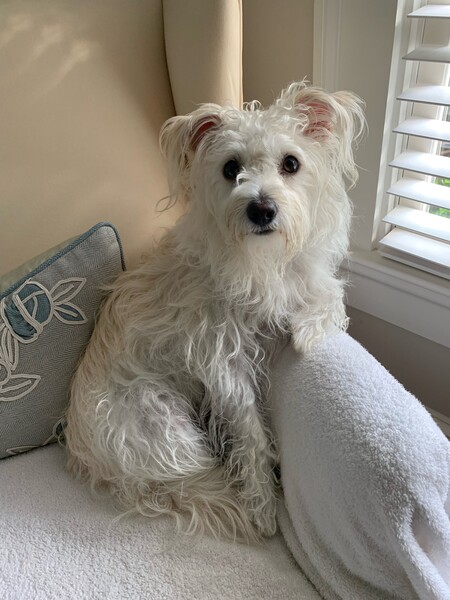 Max