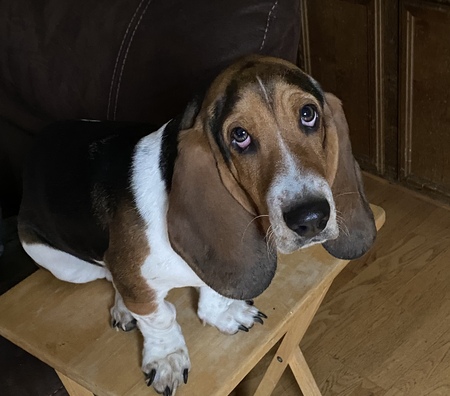 Entry image for Aurora. Clicking this image will show a larger photo