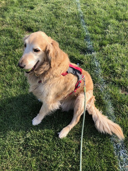 FINNEGAN