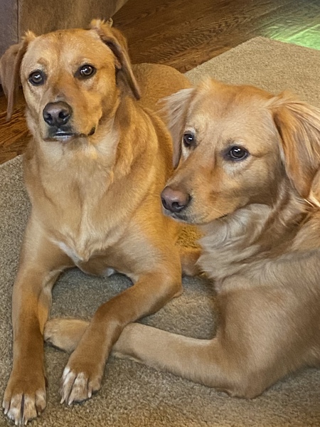 Luke and Leia