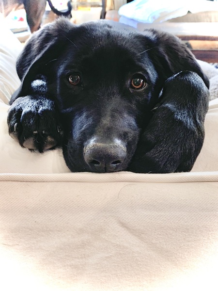 Jack