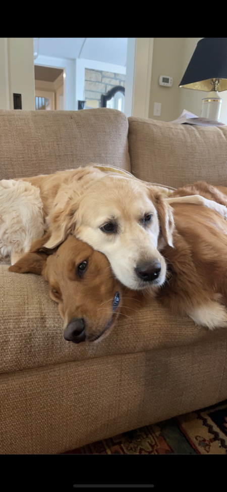 Beau and Ivey