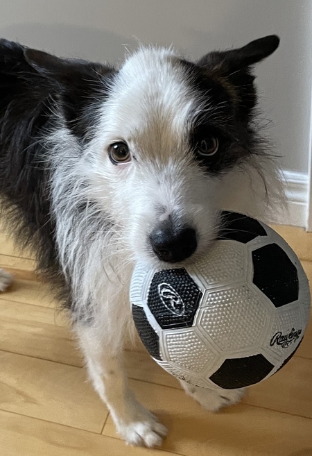 Finnigan