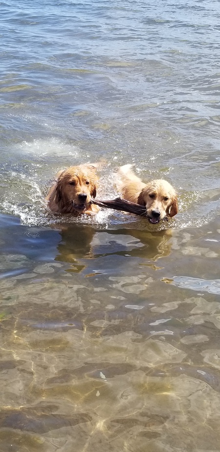 Ellie & Drew