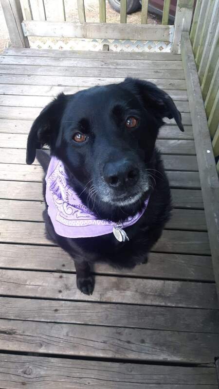 Bella