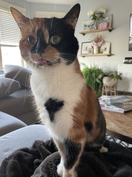 Minnie