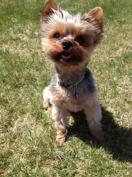 Rudy 