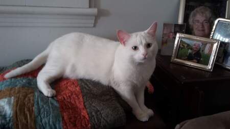 Mia