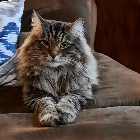 Antonio