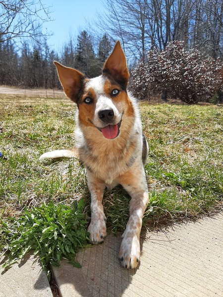 Luna