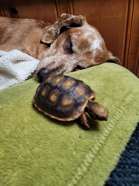 Tucker & Olie