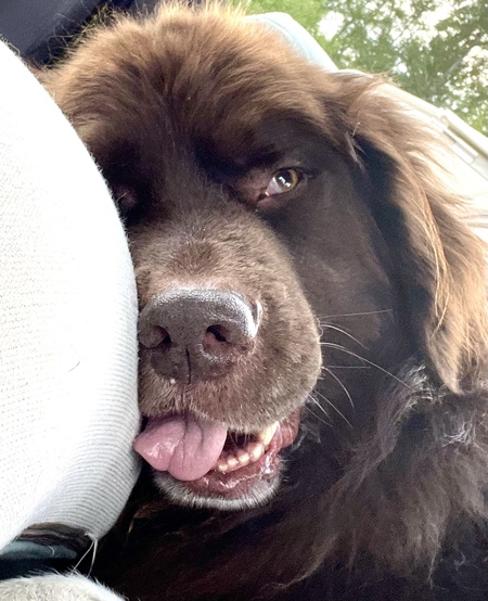 Rosco P. Coltrane 