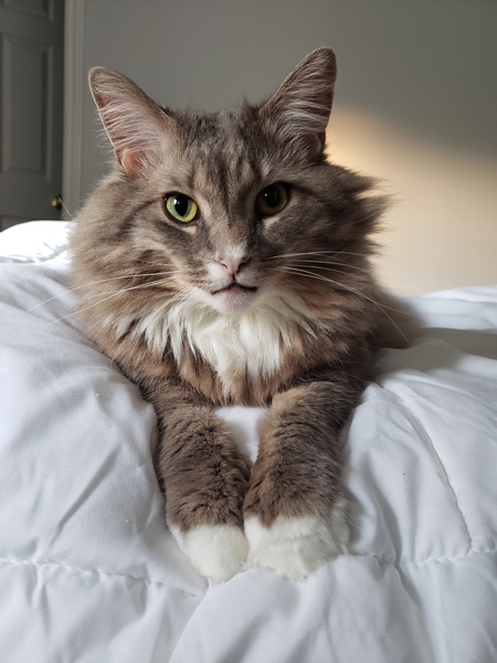 Steve