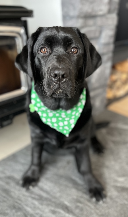 Murphy 