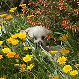 Entry image for Bailey