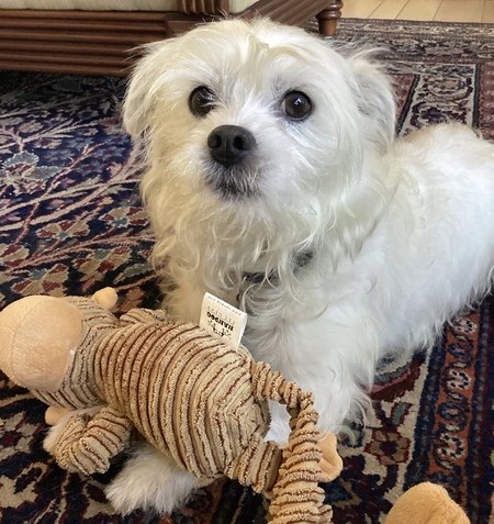Entry image for Cody. Clicking this image will show a larger photo