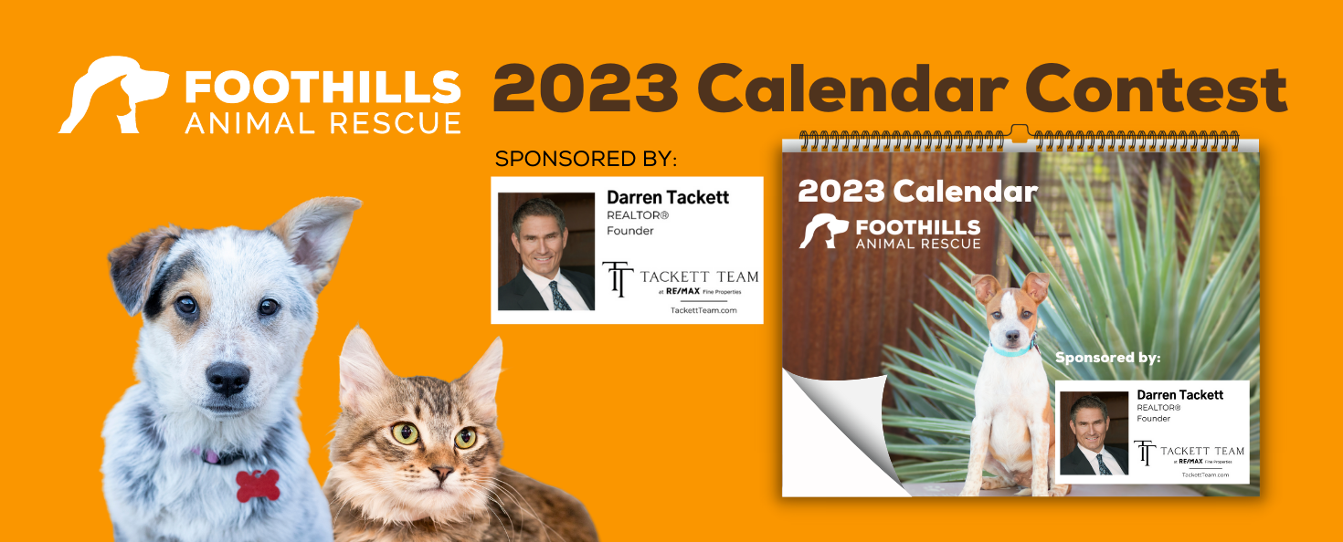 Foothills Animal Rescue | Foothills Animal Rescue 2023 Calendar Photo  Contest