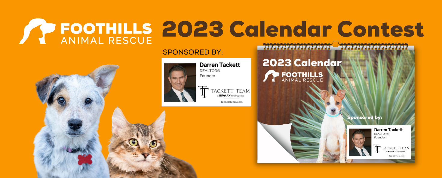 Foothills Animal Rescue | Foothills Animal Rescue 2023 Calendar Photo Contest Foothills Animal Rescue | Foothills Animal Rescue 2023 Calendar Photo Contest