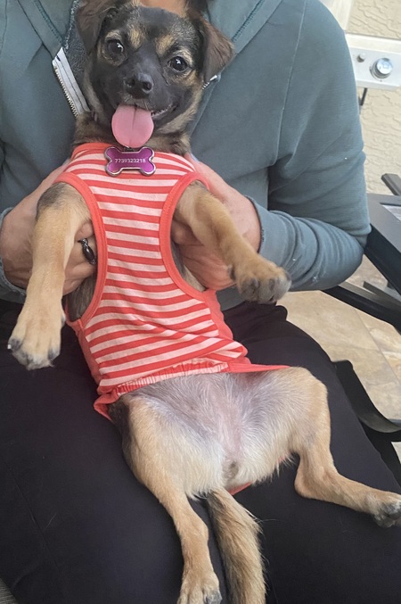 Josie