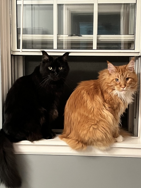 Zeke and Tig