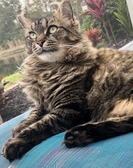 Luna