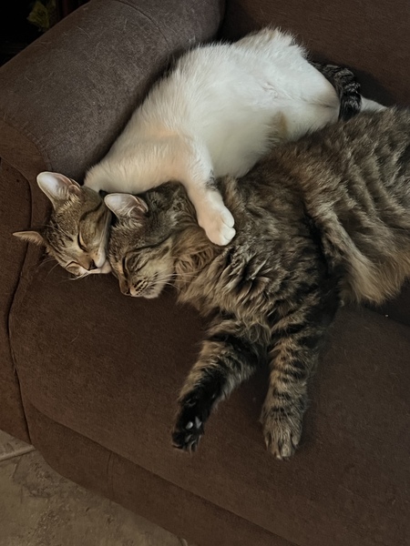 Toby and Sasha 