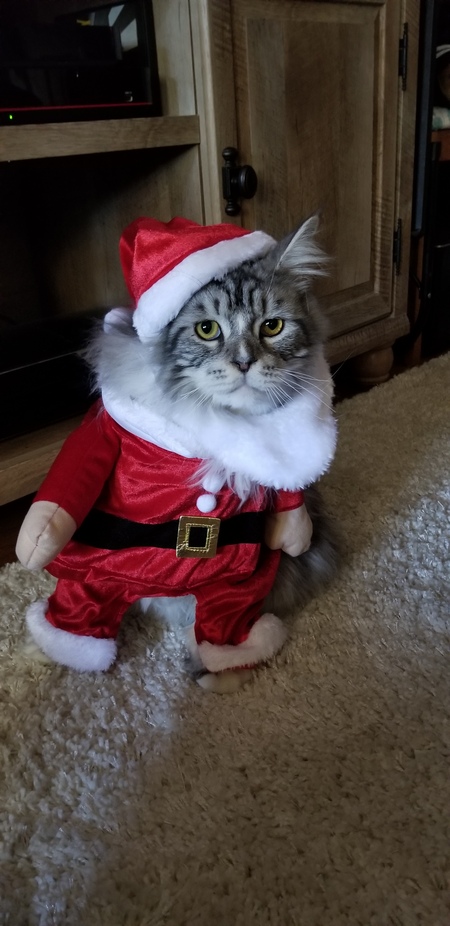 Jinxy