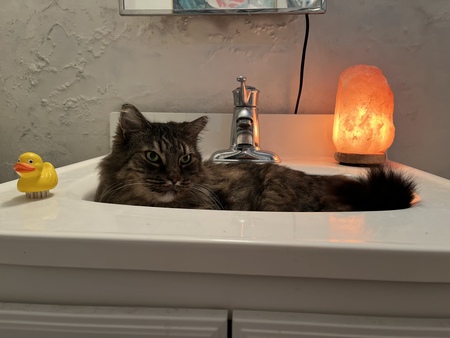 Max