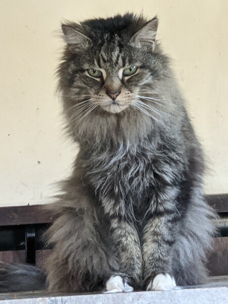 Frederick