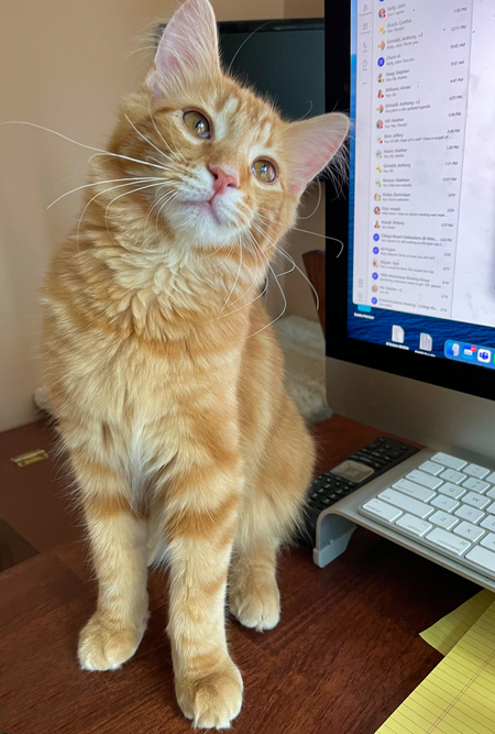 Sammy