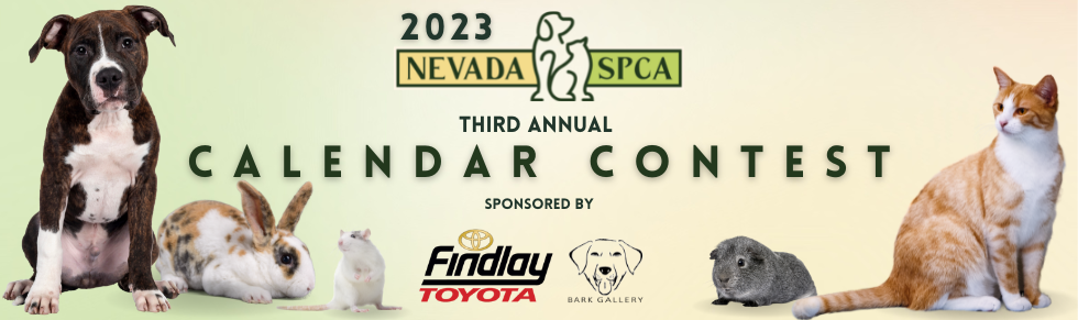 Banner for 2023 Nevada SPCA Calendar Contest