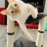 Entry image for Cash 