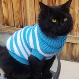 Entry image for Lily