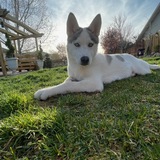 Entry image for Athena