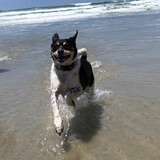 Entry image for Beatrice